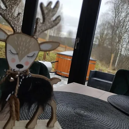 Dağ evi Brzozowe Zacisze *