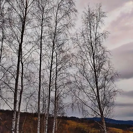 Brzozowe Zacisze Dağ evi *