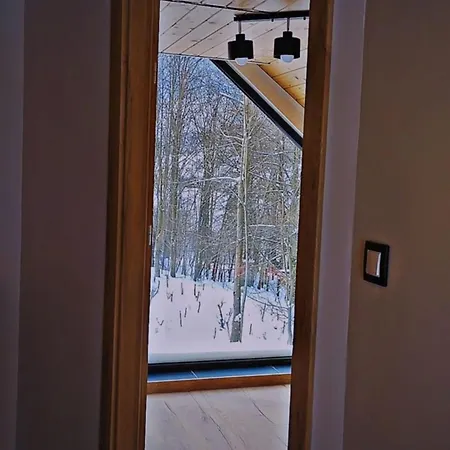 Dağ evi Brzozowe Zacisze