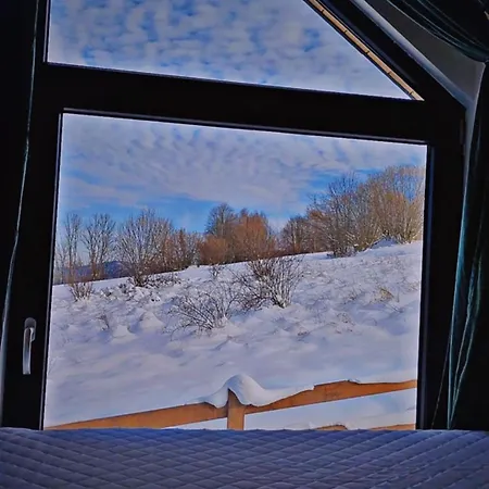 Brzozowe Zacisze Dağ evi Lachowice