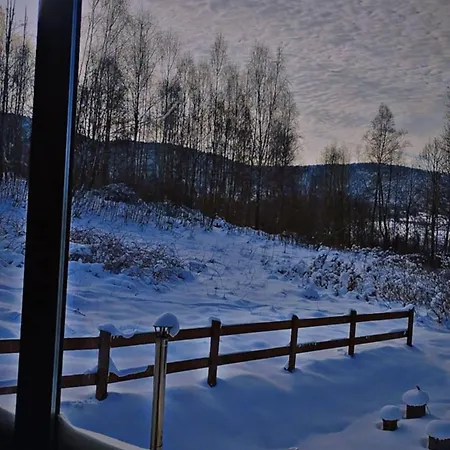 Dağ evi Brzozowe Zacisze