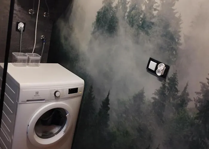 Chalet Brzozowe Zacisze