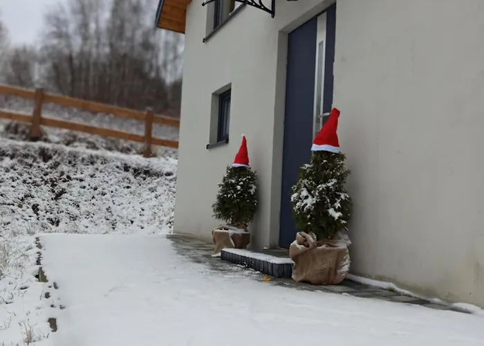 Brzozowe Zacisze Chalet