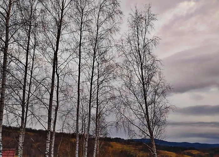 Brzozowe Zacisze Chalet *