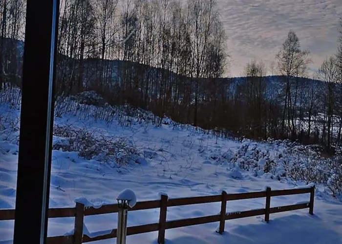 Chalet Brzozowe Zacisze